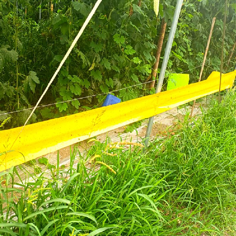 Insect Sticky Roller Trap